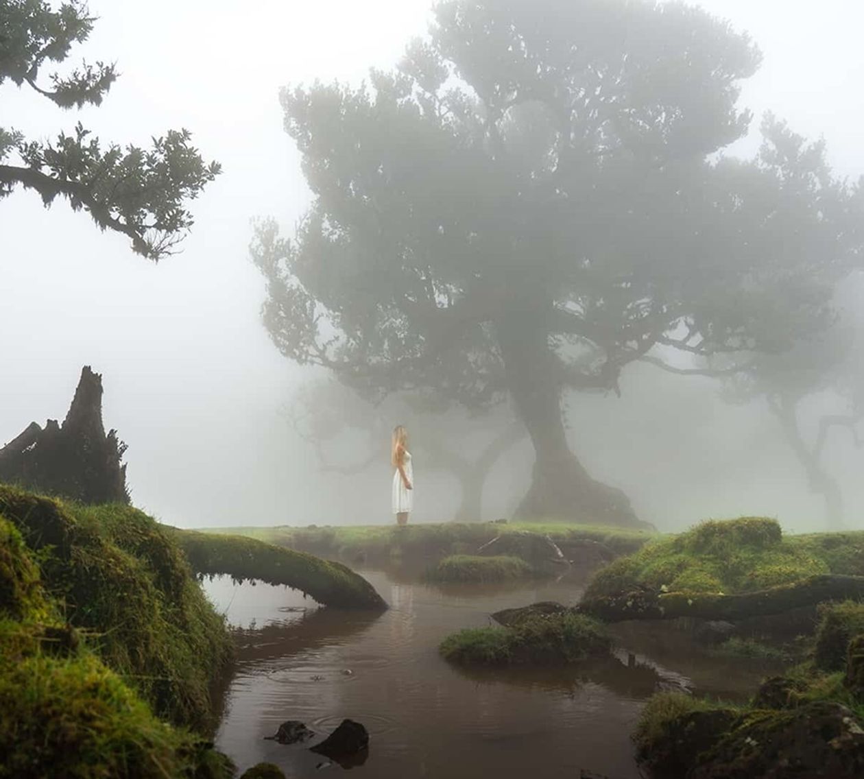 Woman standing under misty tree